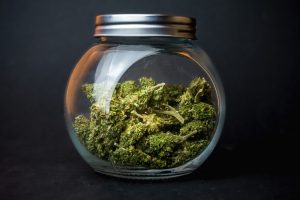 Lire la suite à propos de l’article Les 5 meilleures manières de consommer du CBD + 1 erreur